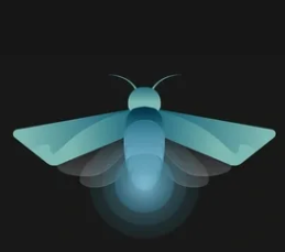 Firefly Labs